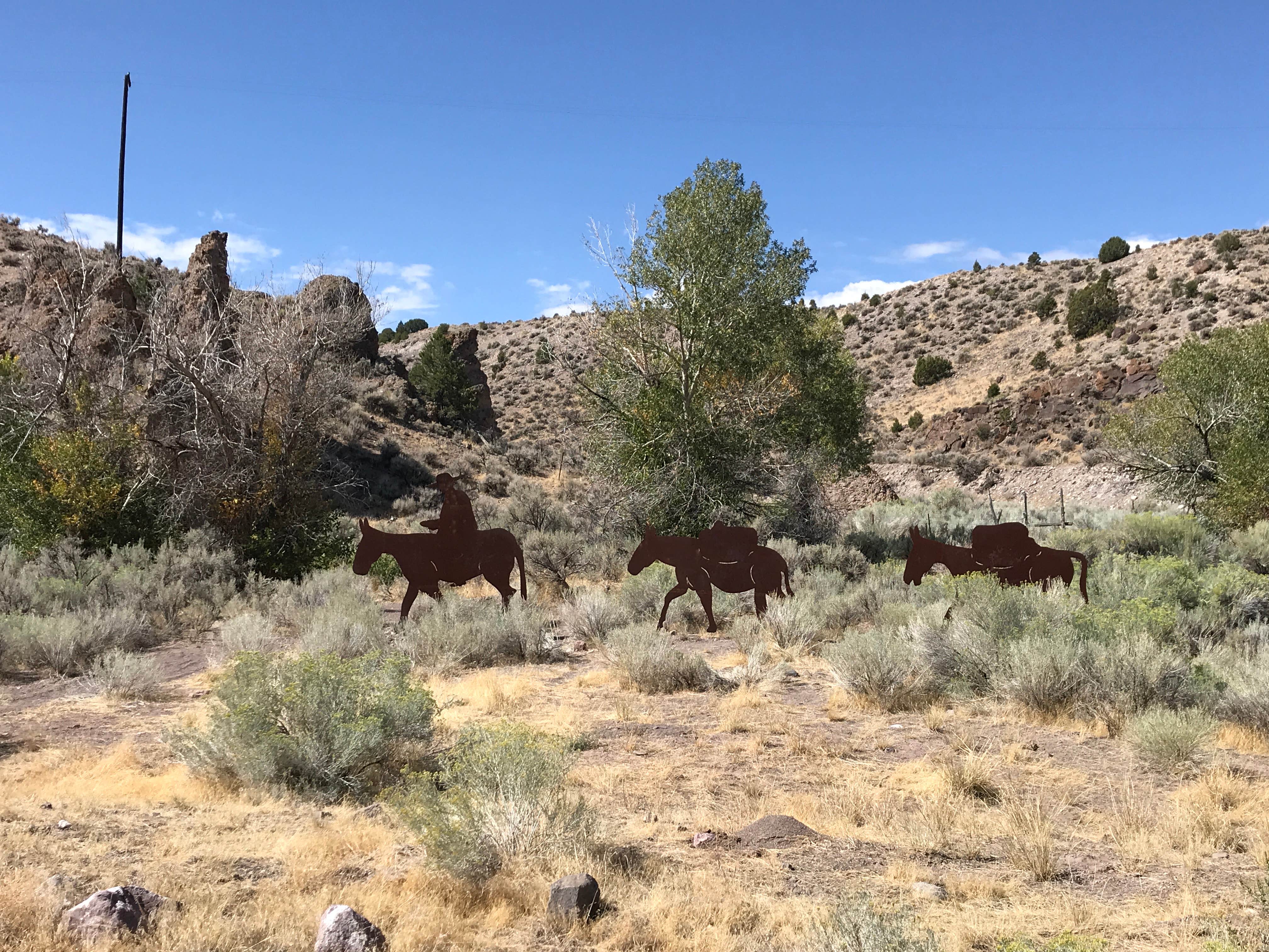 David R.'s photo of camping with a horse at South Campground — Zion National Park near Parowan, UT