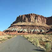 Review photo of South Campground — Zion National Park by David R., June 1, 2021