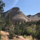 Review photo of South Campground — Zion National Park by David R., June 1, 2021
