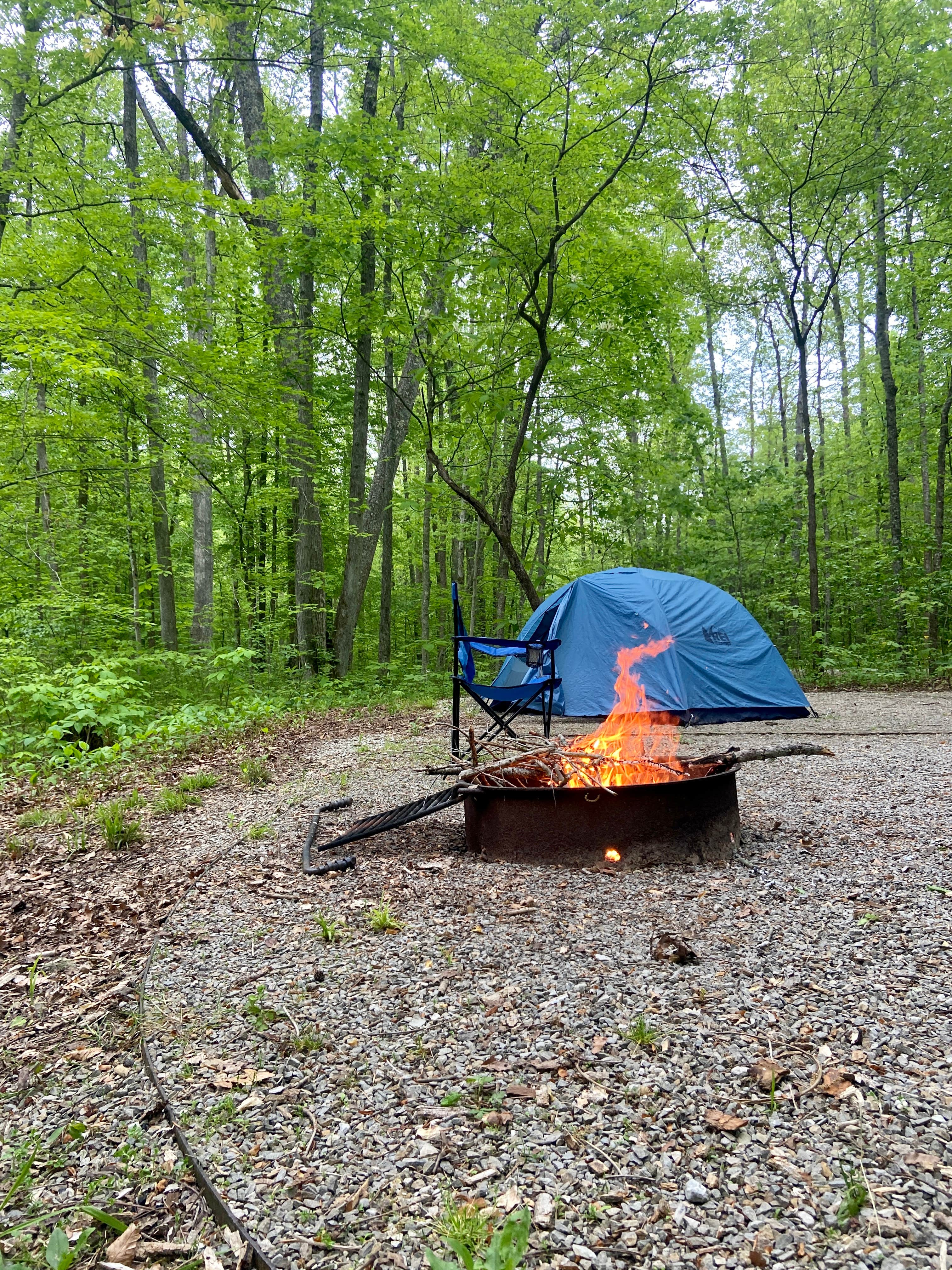 Anna S.'s photo at Clear Creek Rec Area near Denniston, KY