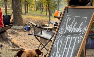 Heather's photo of camping with pets at Lake Ouachita State Park Campground near Hot Springs National Park, AR