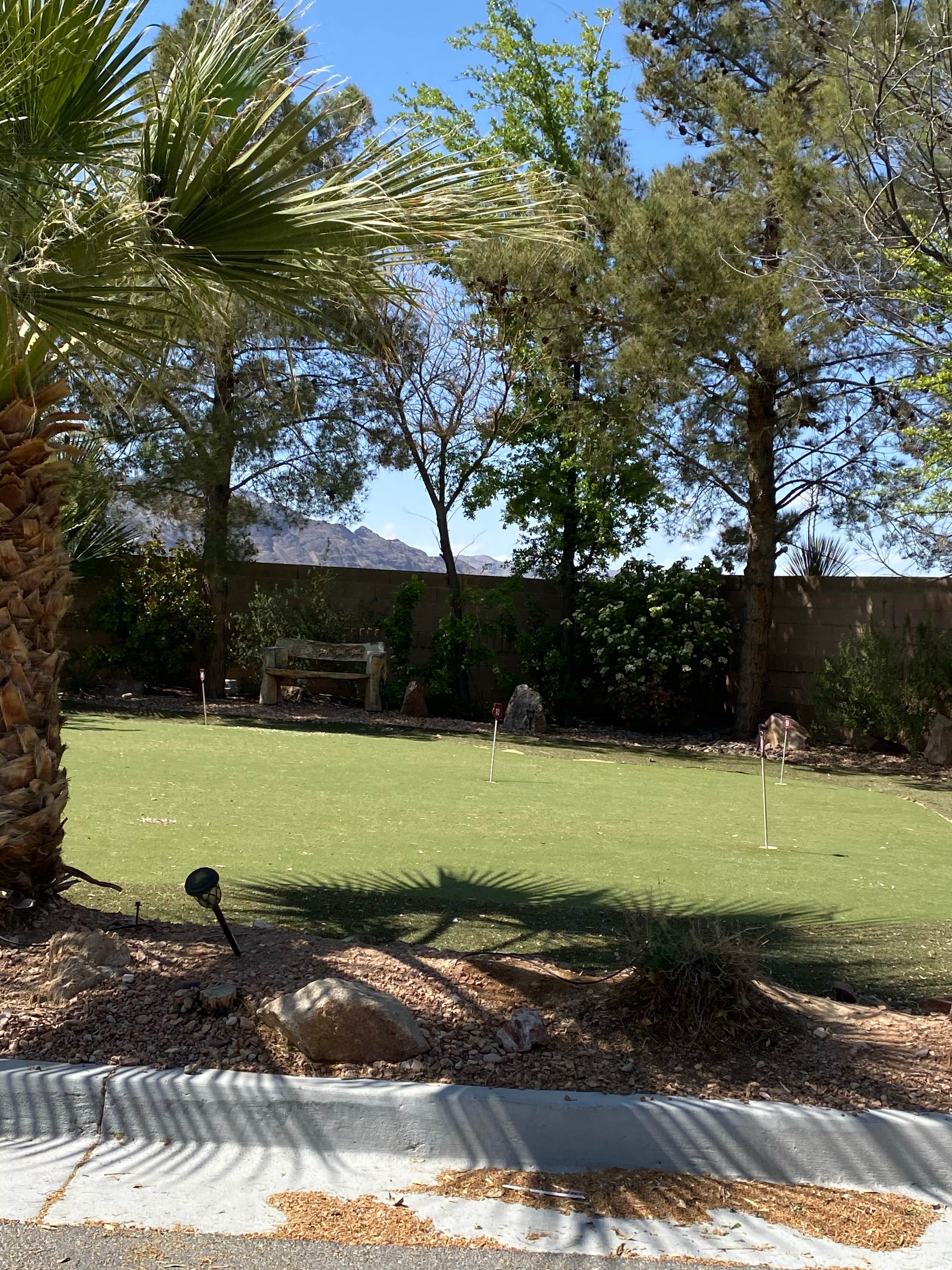 Camper-submitted photo at Nevada Treasure RV Resort near Pahrump, NV