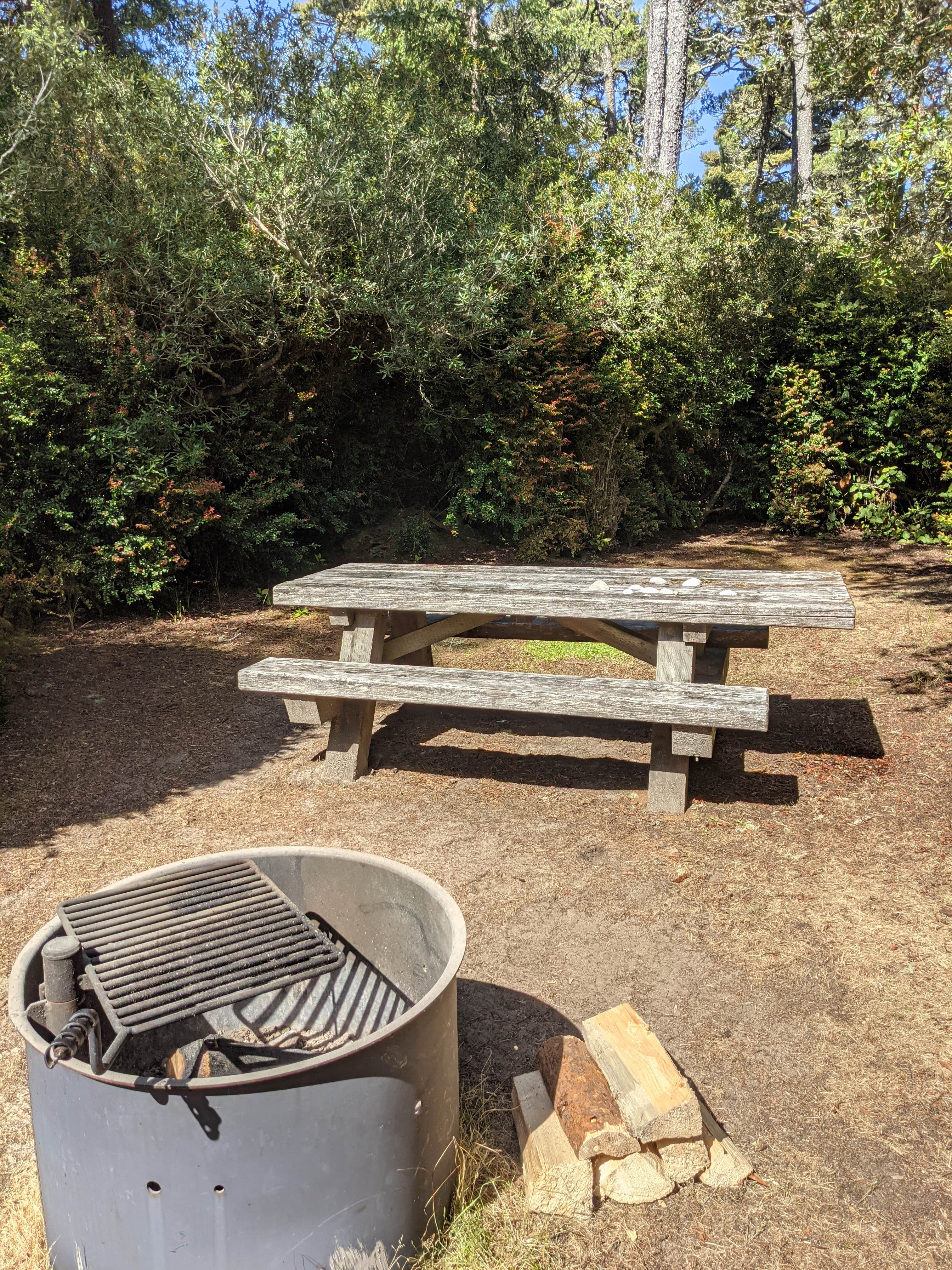 Camper submitted image from Waxmyrtle Campground - 3