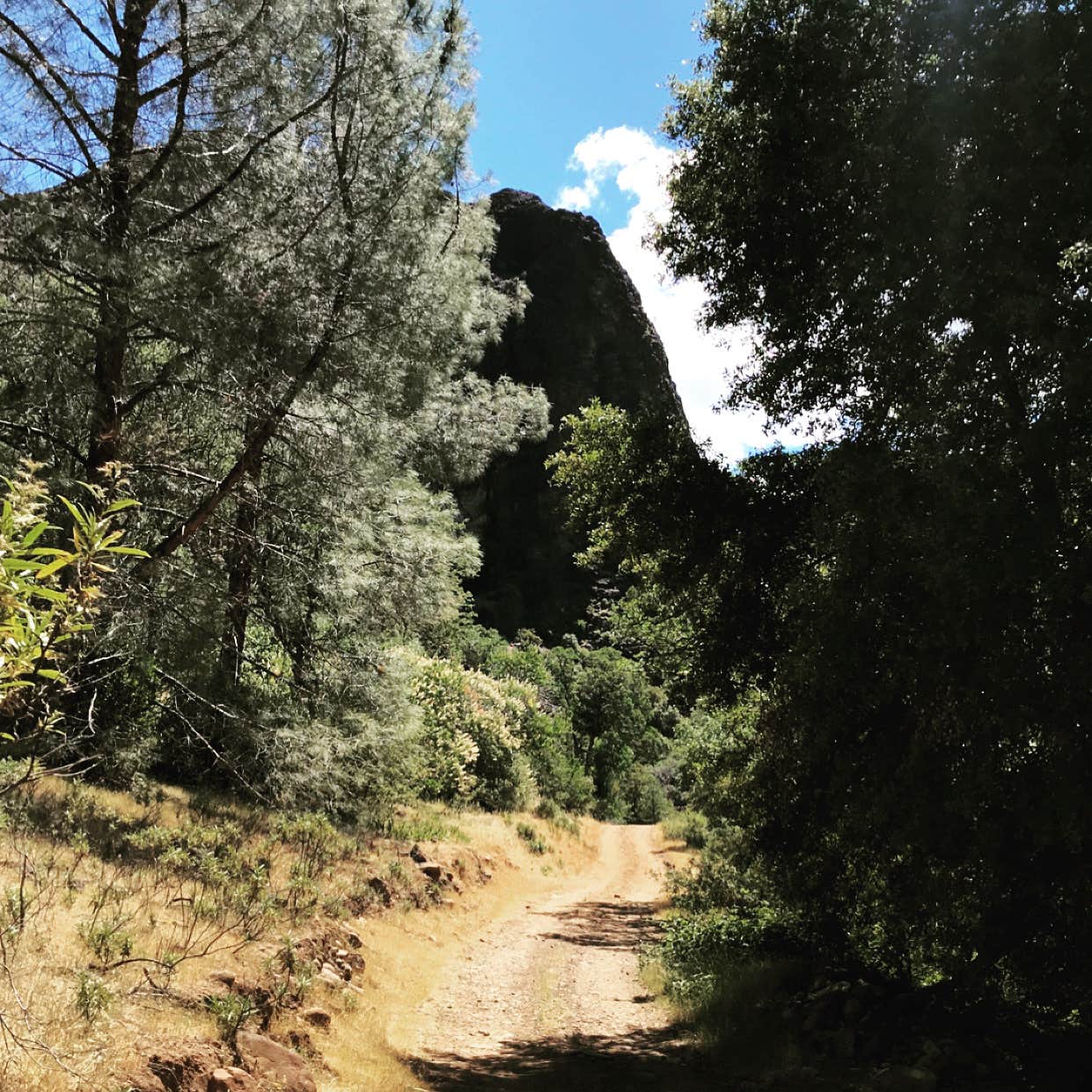 Camper-submitted photo at Black Rock Campground (Lassen NF) near Black Butte Lake