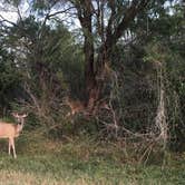 Review photo of Choke Canyon State Park Campground by Miriam M., June 6, 2018