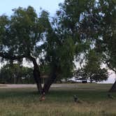 Review photo of Choke Canyon State Park Campground by Miriam M., June 6, 2018