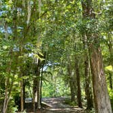 Review photo of Rood Creek Park Camping by tamara , June 1, 2021