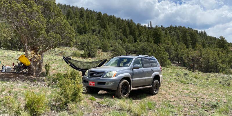 Camper submitted image from Radium Campground