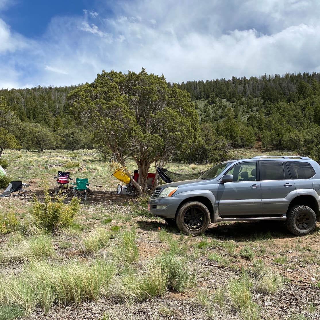 Radium Campground Camping The Dyrt