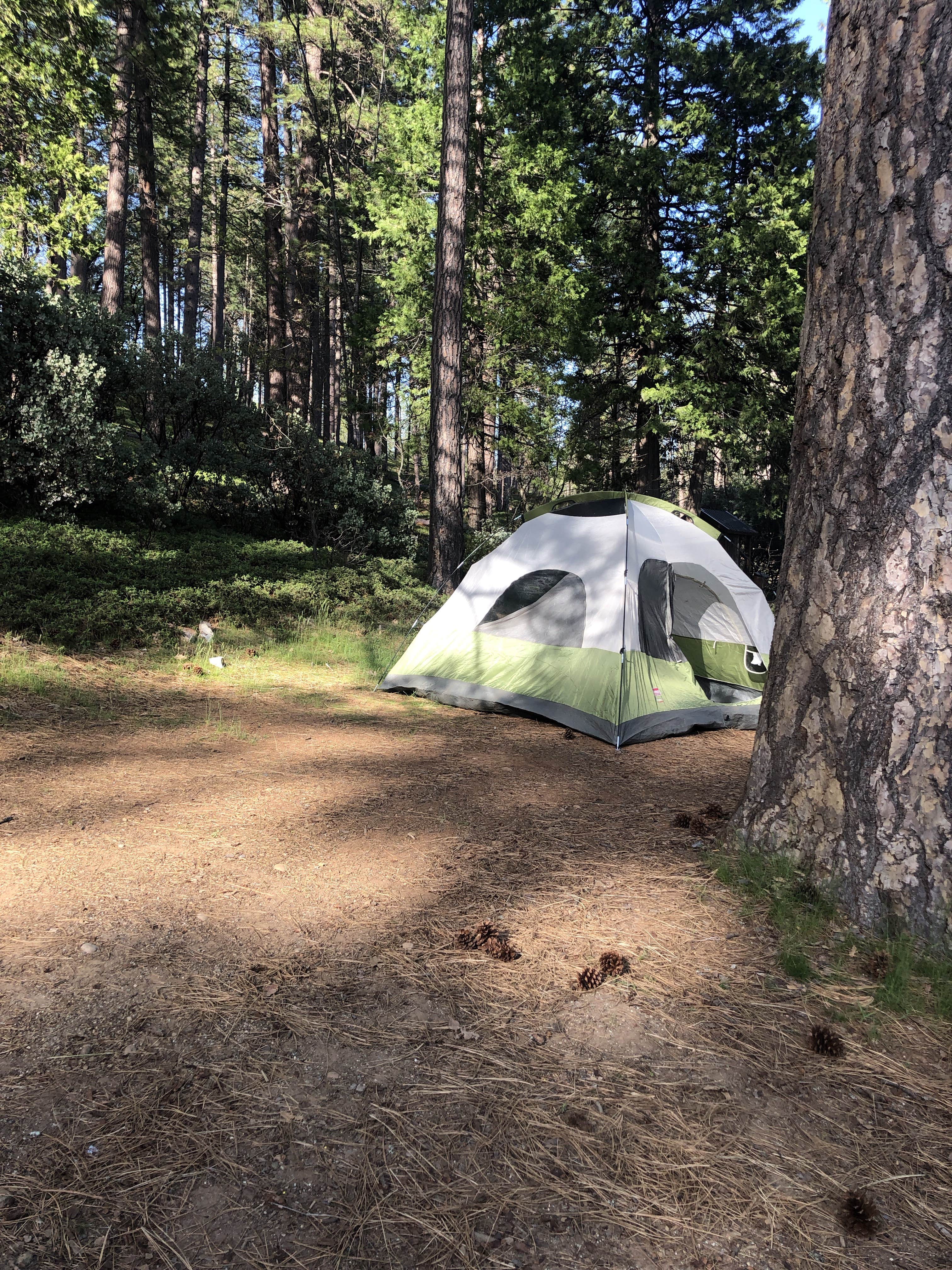 Carly D.'s photo at Sly Park Recreation Area near Pollock Pines, CA