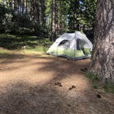 Review photo of Sly Park Recreation Area by Carly D., June 1, 2021