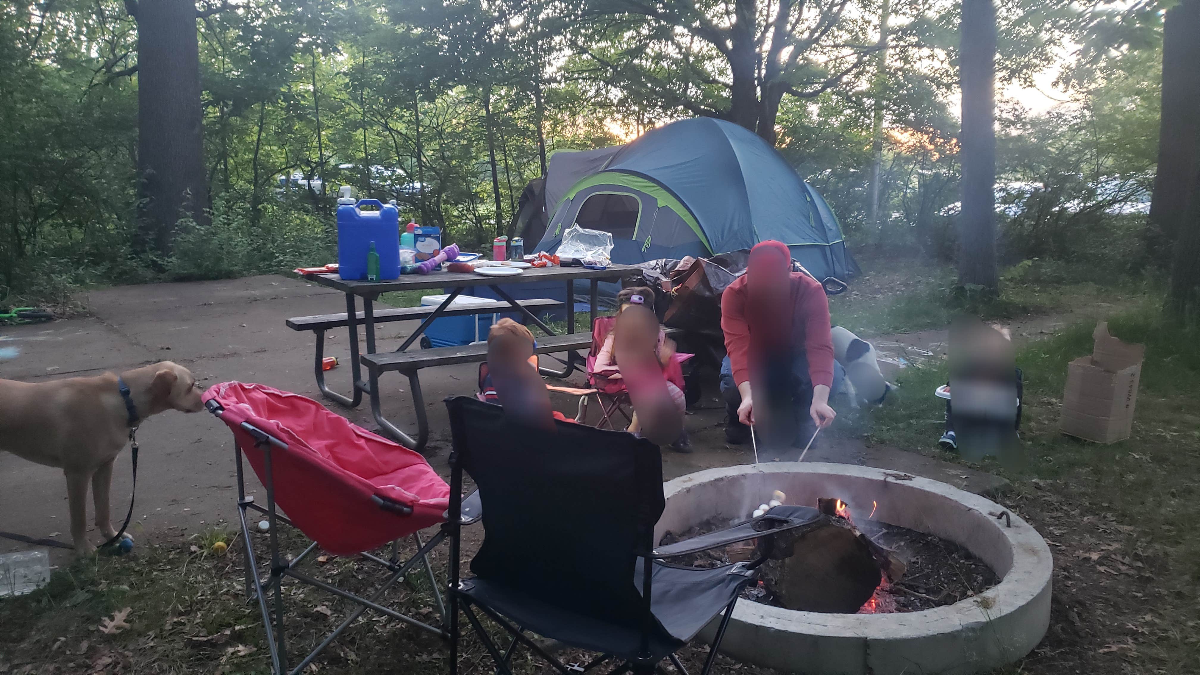 Priscilla J.'s photo of camping with pets at Weldon Springs State Park Campground near Blue Mound, IL