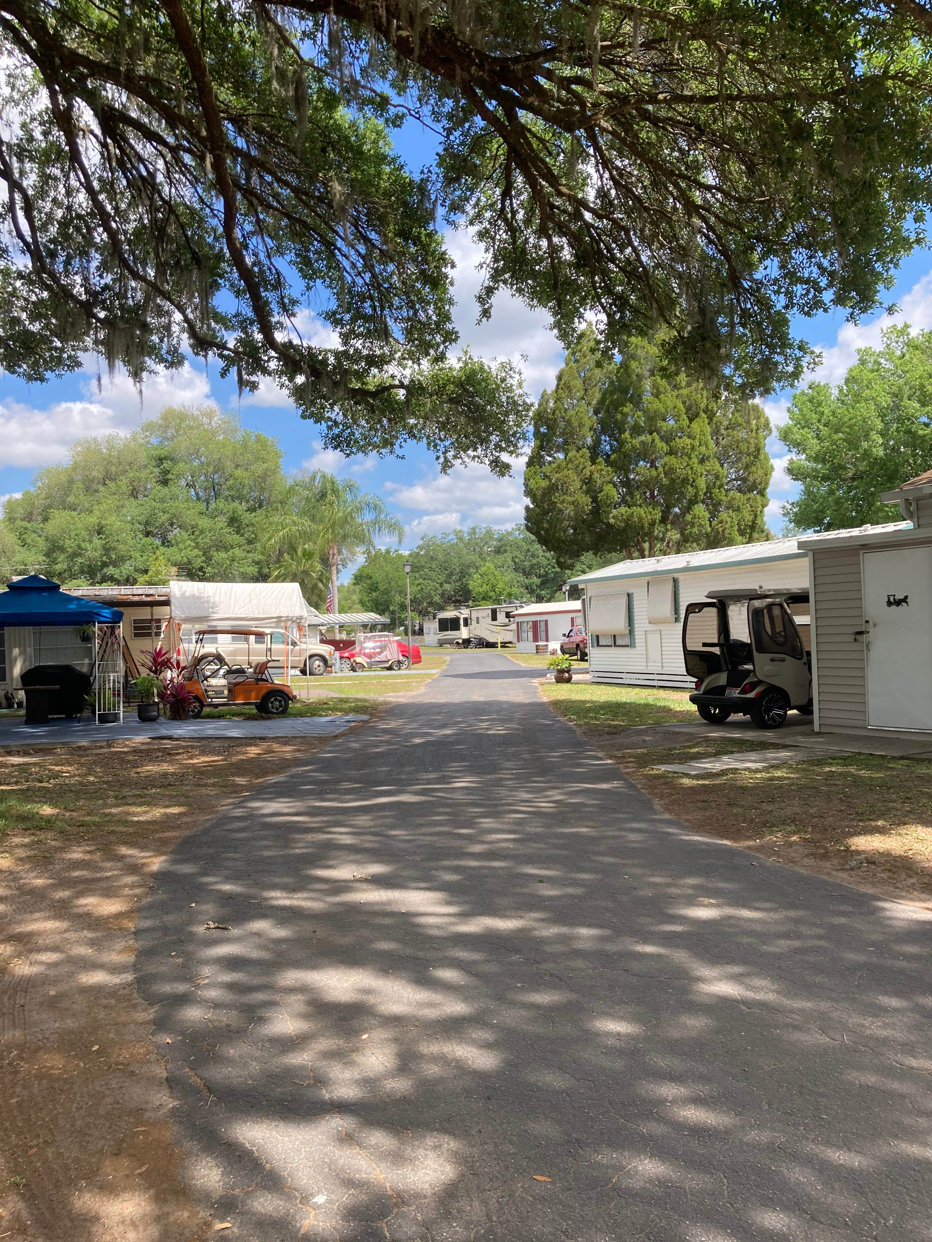 Lisa A.'s photo of rv camping at Ducky's Day Off RV Park near Zephyrhills, FL