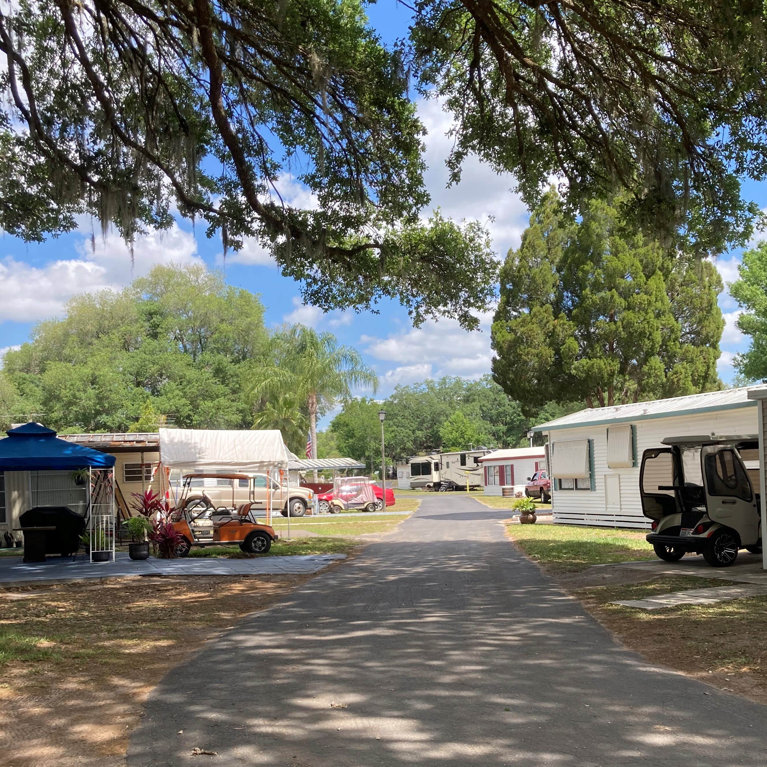 Ducky's Day Off RV Park Camping The Dyrt