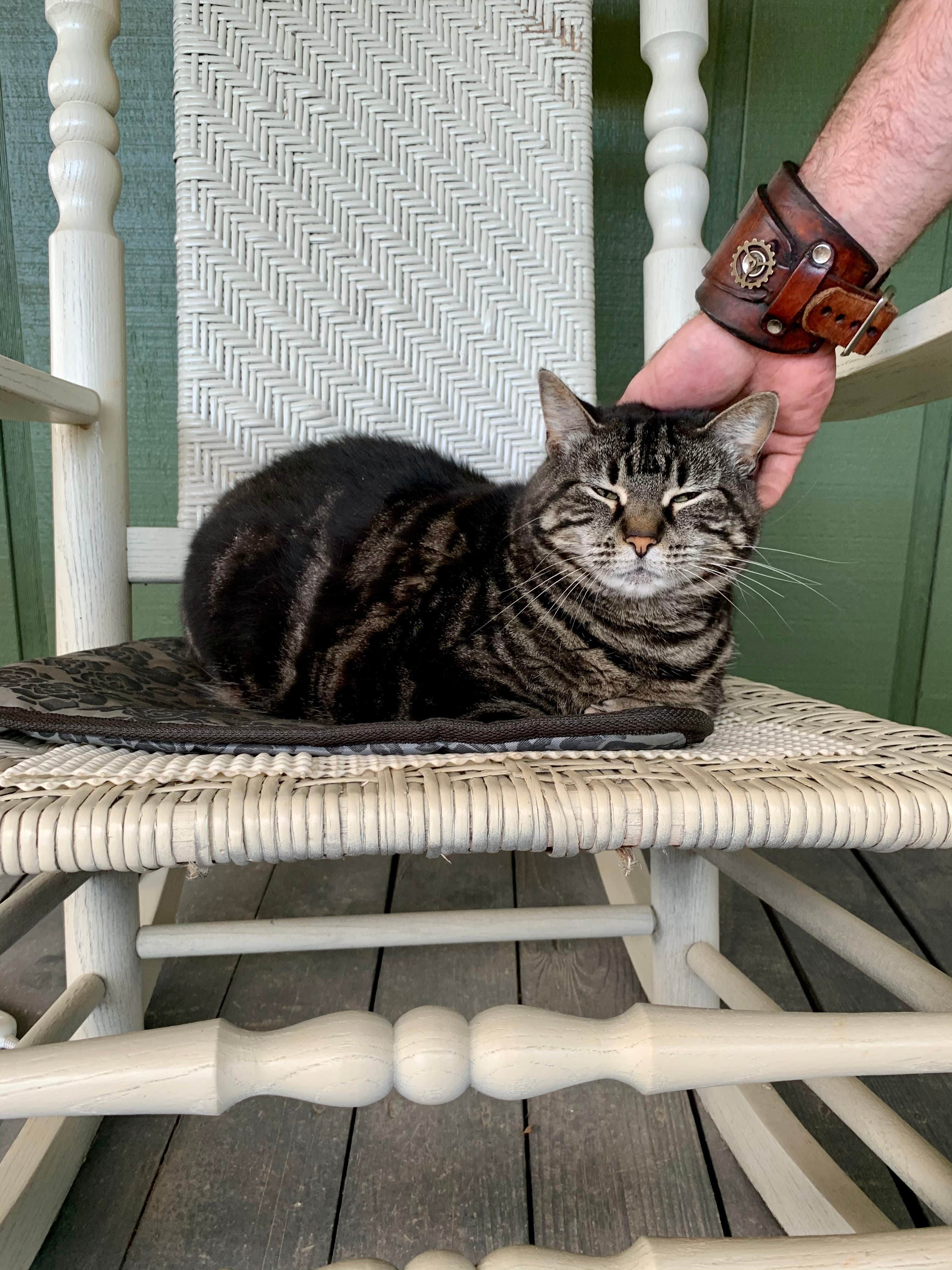 Heather L.'s photo of camping with pets at Diamond Lure Campground near Morganton, GA