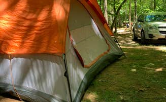 Heather L.'s photo at Diamond Lure Campground near Cherry Log, GA