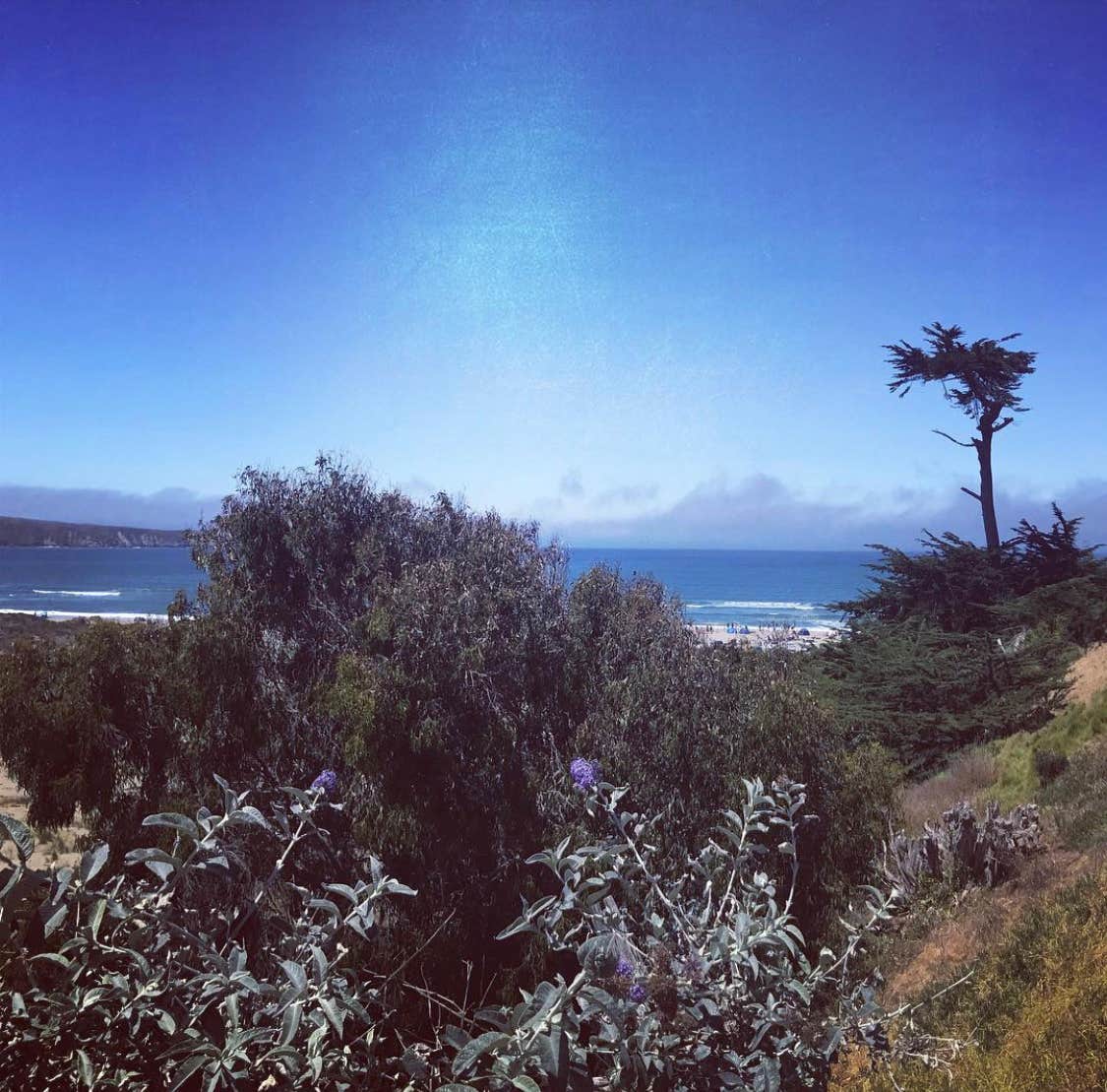 Camper-submitted photo at Lawson's Landing near Petaluma, CA