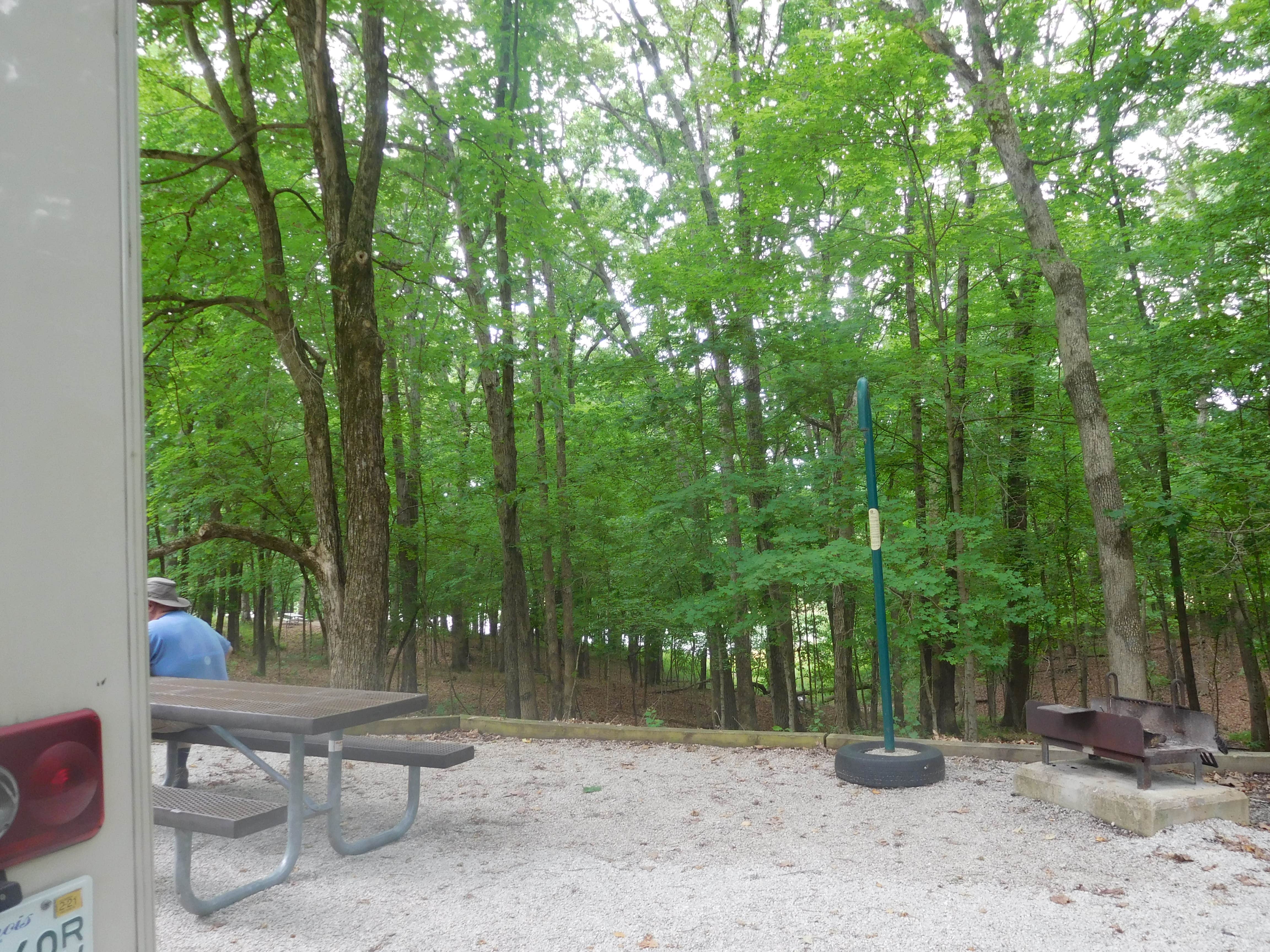 Debra M.'s photo at Opossum Creek near Charleston, IL