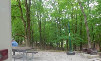 Debra M.'s photo at Opossum Creek near Windsor, IL