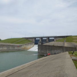 Dam at COE