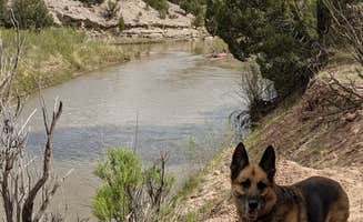 Megan V.'s photo of camping with pets at Rio Chama Campground near Youngsville, NM