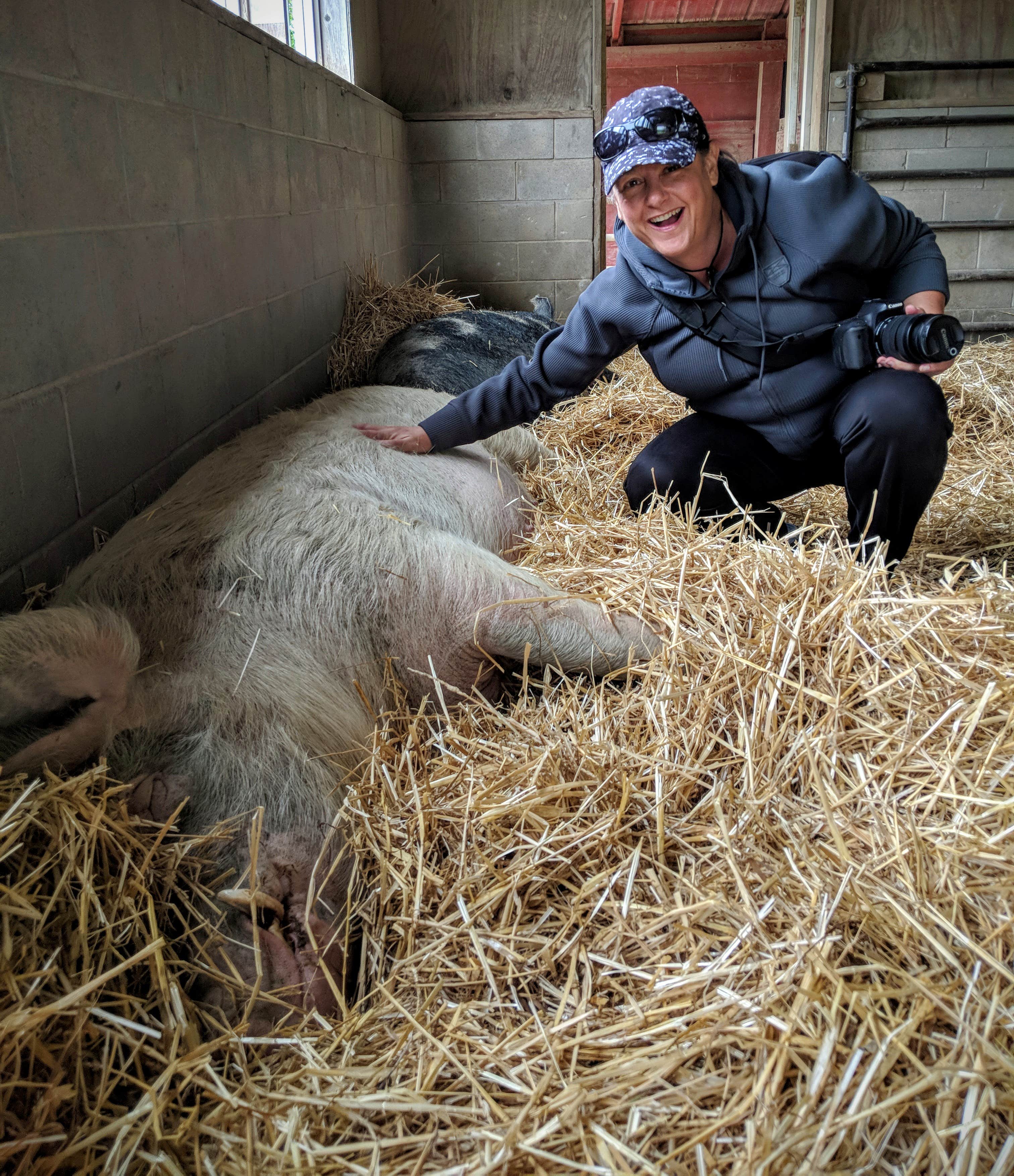 Camper-submitted photo at Watkins Glen State Park Campground in New York