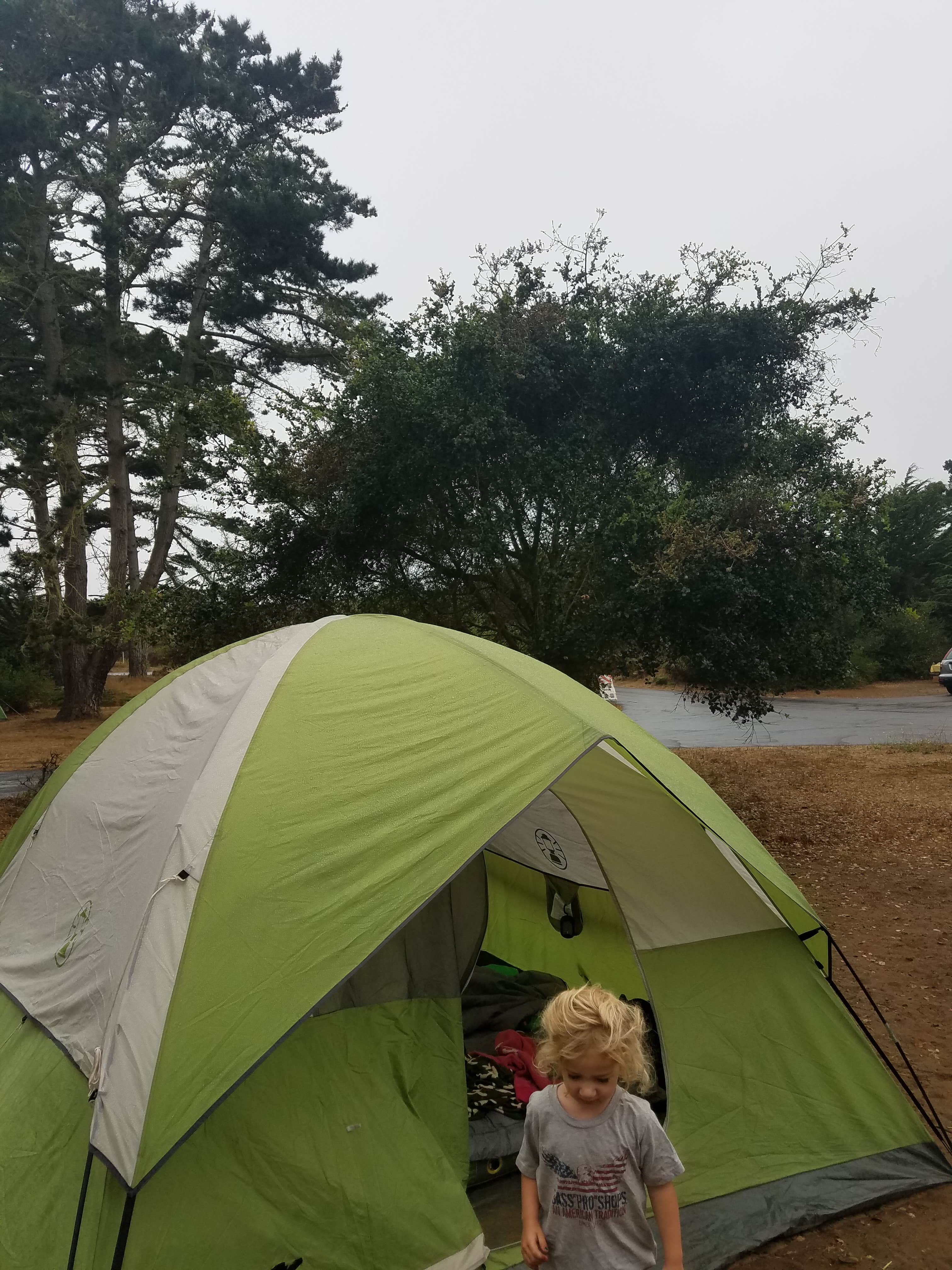 Carl N.'s photo at Sunset State Beach near Castroville, CA