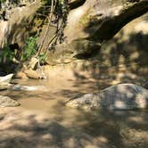 Review photo of Ledges State Park Campground by Christina P., June 1, 2021