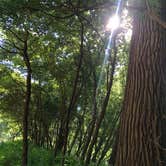 Review photo of Ledges State Park Campground by Christina P., June 1, 2021