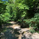 Review photo of Ledges State Park Campground by Christina P., June 1, 2021