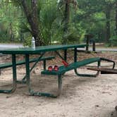 Review photo of Alexander Springs Recreation Area by Matthew D., May 30, 2021