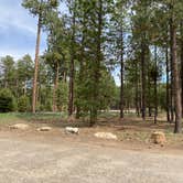 Review photo of Jacob Lake Campground - Kaibab National Forest by Kiri , June 1, 2021