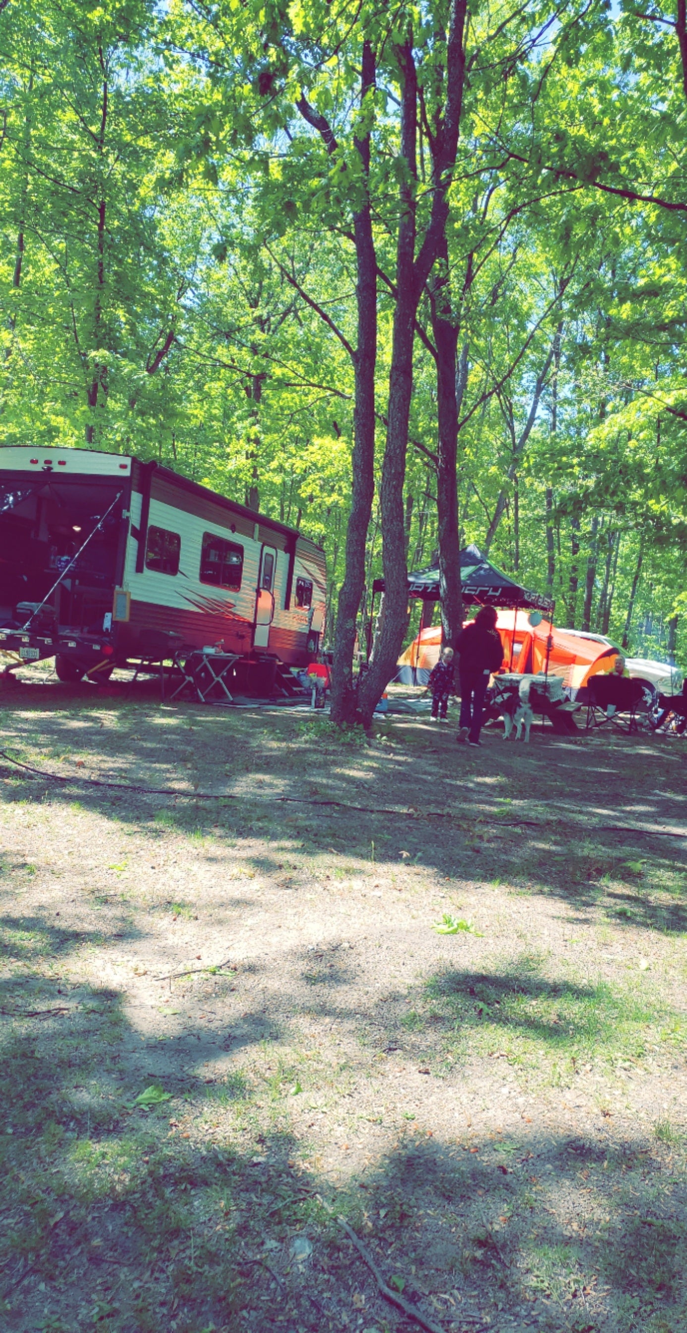 Camper submitted image from The Lost Oak's Campground - 4