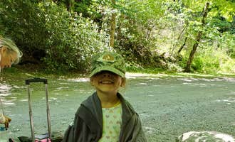 Camping near Kephart Trail Shelter — Great Smoky Mountains National Park: Indian Creek Campground , Cherokee, North Carolina