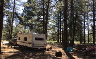 Char P.'s photo at Prosser Family near Floriston, CA