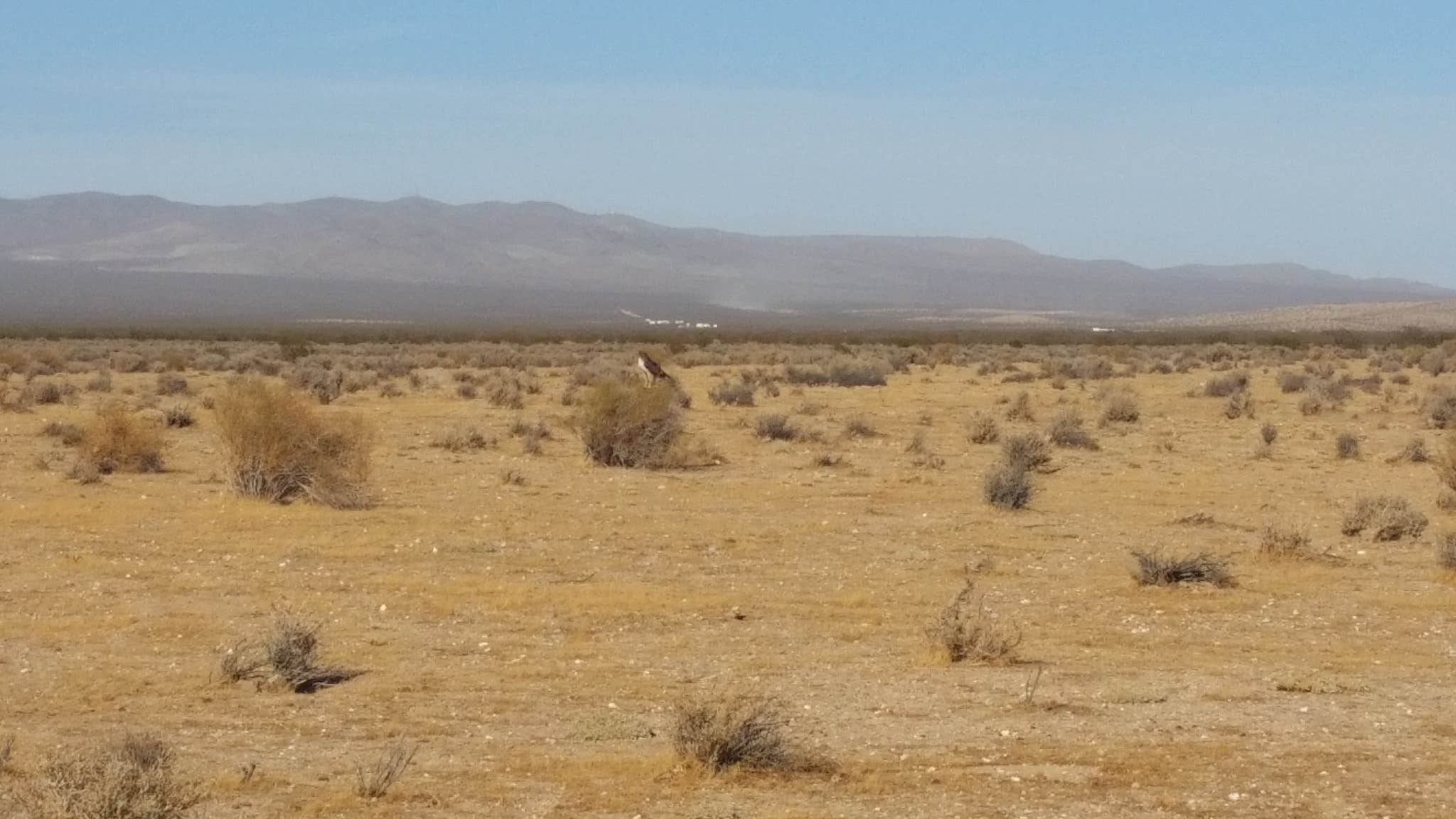 Camper-submitted photo at Borax Bill Substation near Red Mountain, CA
