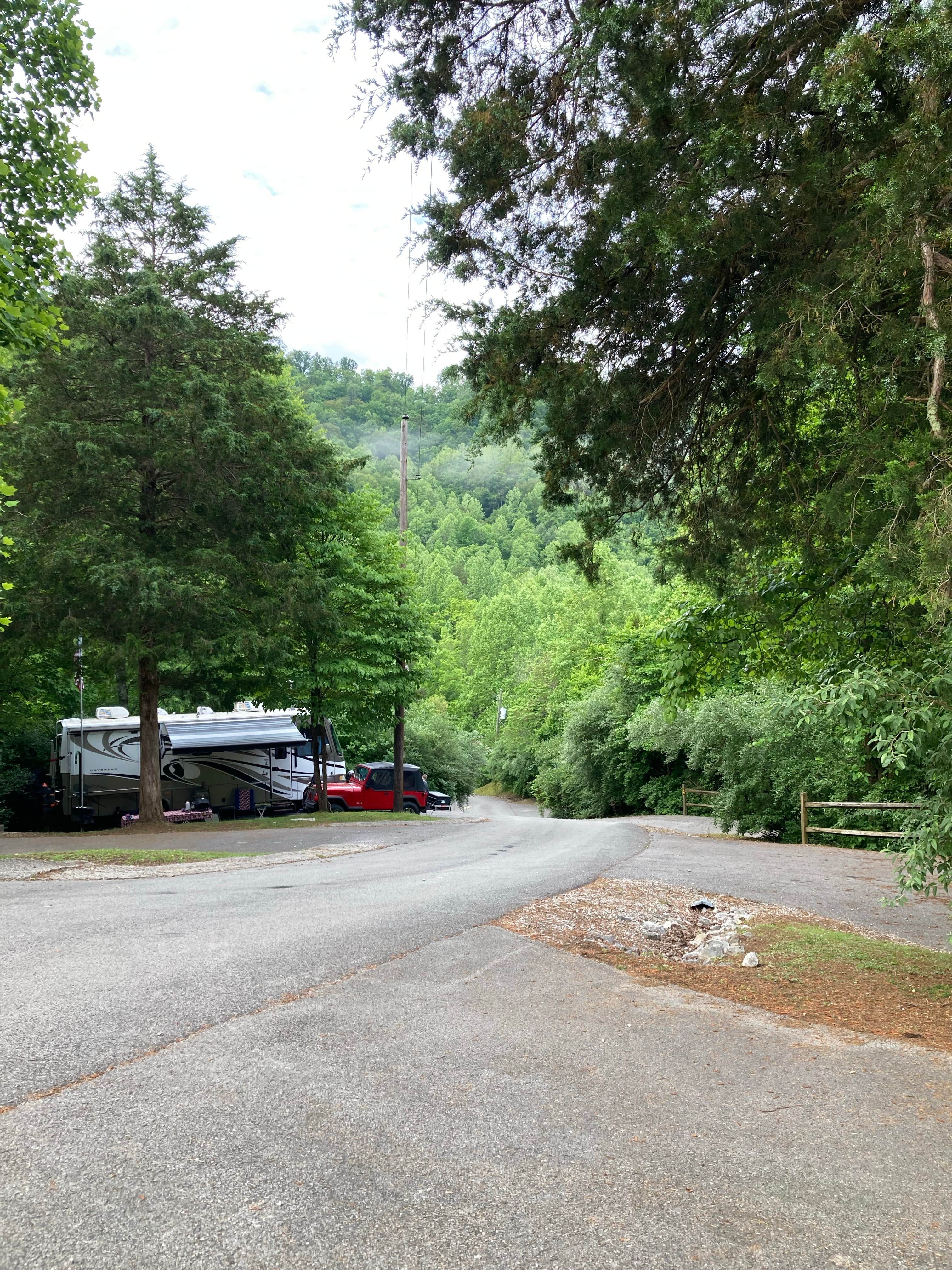 Camper submitted image from Littcarr Campground - 5