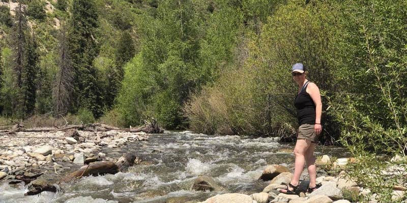 Camper submitted image from Gunnison National Forest Erickson Springs Campground