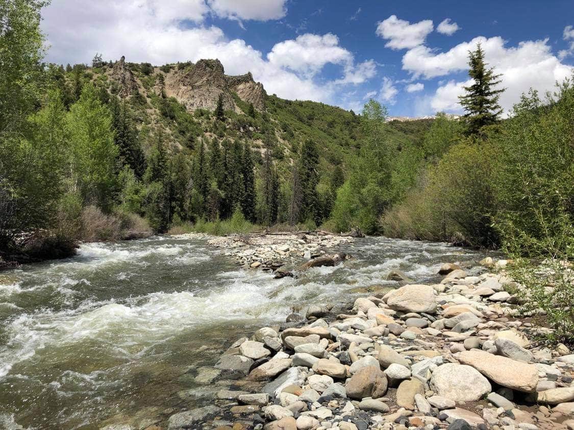 Camper submitted image from Gunnison National Forest Erickson Springs Campground - 2