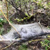Review photo of Gunnison National Forest Erickson Springs Campground by Misty D., June 2, 2021
