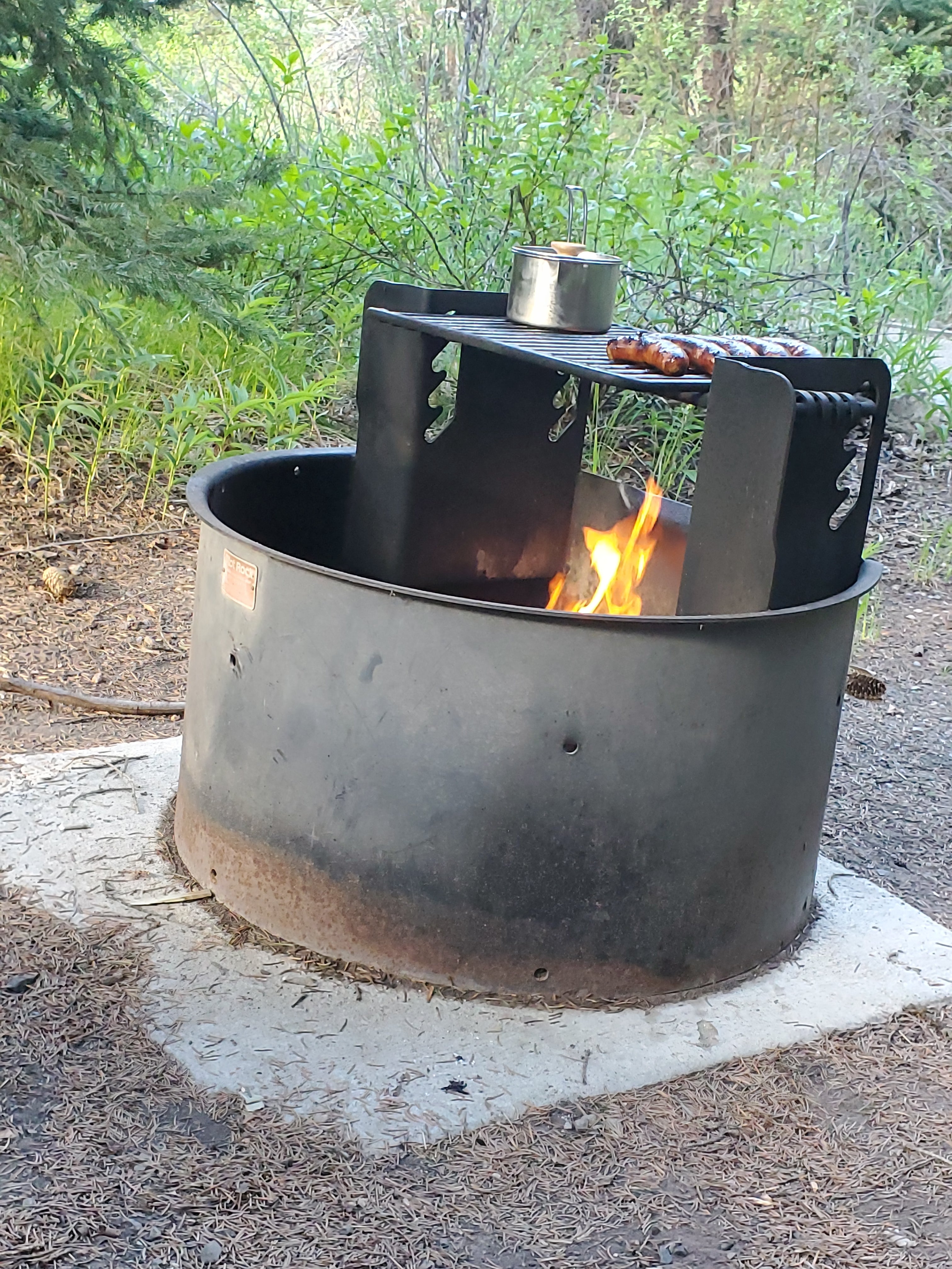 Camper submitted image from Gunnison National Forest Erickson Springs Campground - 3