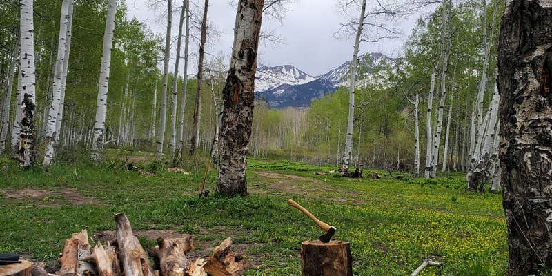 Camper submitted image from Lost Lake Campground