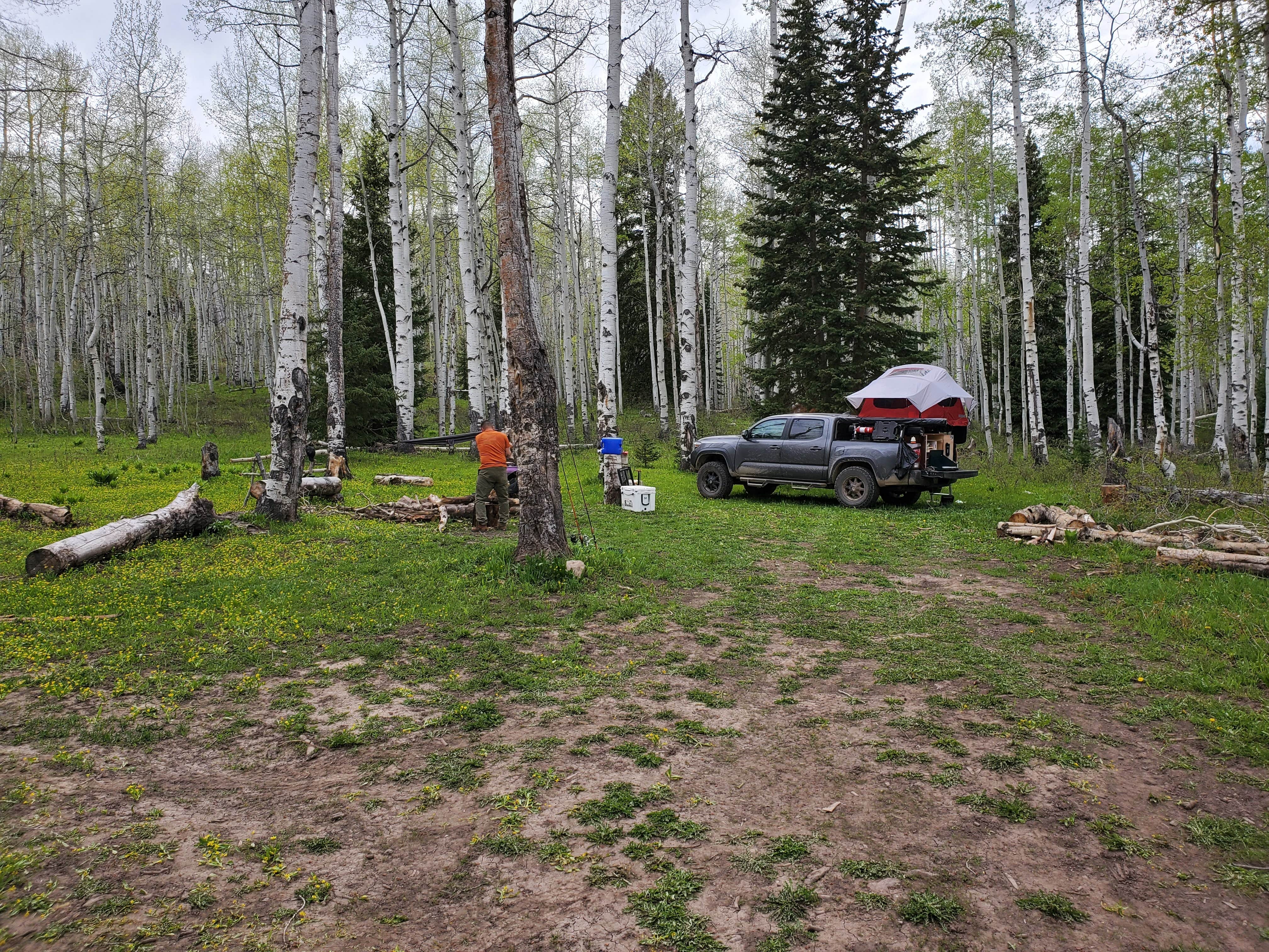 Misty D.'s photo at Lost Lake Campground near Paonia, CO