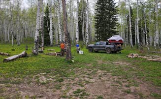 Misty D.'s photo at Lost Lake Campground near Paonia, CO