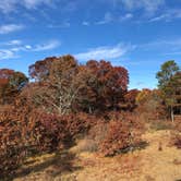 Review photo of Buckhorn State Park Campground by Susan S., June 2, 2021