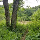 Review photo of Buffalo Point — Buffalo National River by Josh S., June 2, 2021