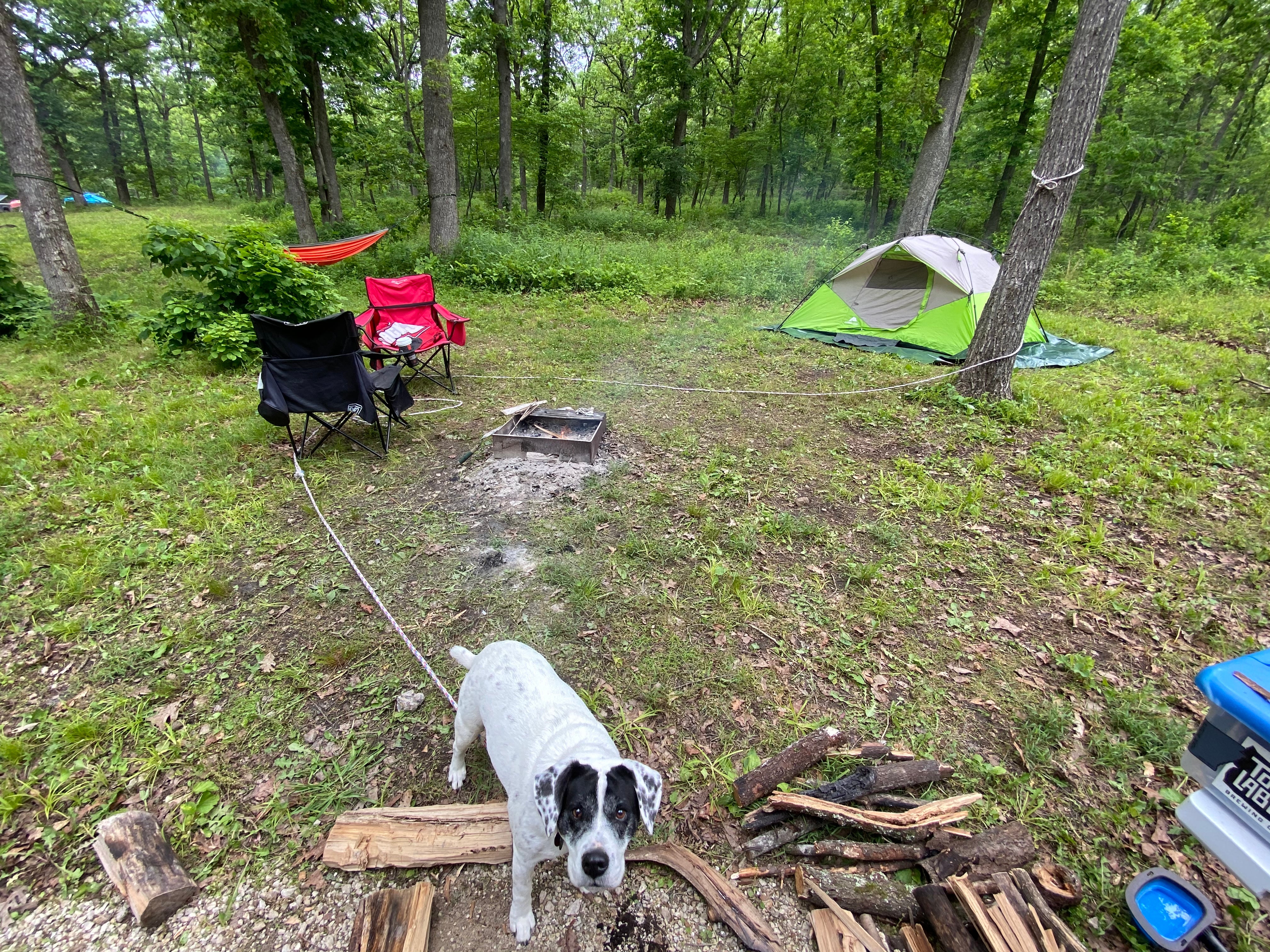 Camper submitted image from Fiery Fork Conservation Area - 4