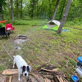 Review photo of Fiery Fork Conservation Area by Jenny D., June 2, 2021