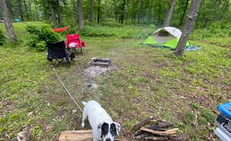 Jenny D.'s photo of camping with pets at Fiery Fork Conservation Area near Lebanon, MO