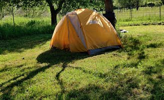 David B.'s photo of tent camping at Closed near Cedar Springs, MI